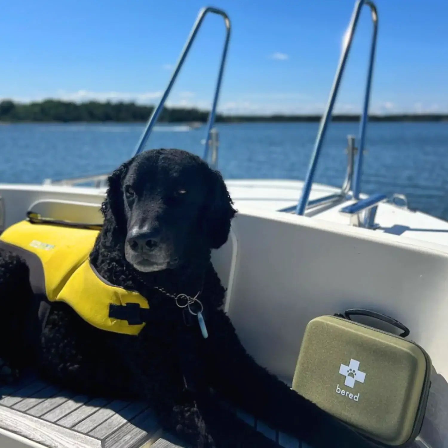 Svart hund med gul flytväst sitter på en båt bredvid en grön första hjälpen-låda från Bered.