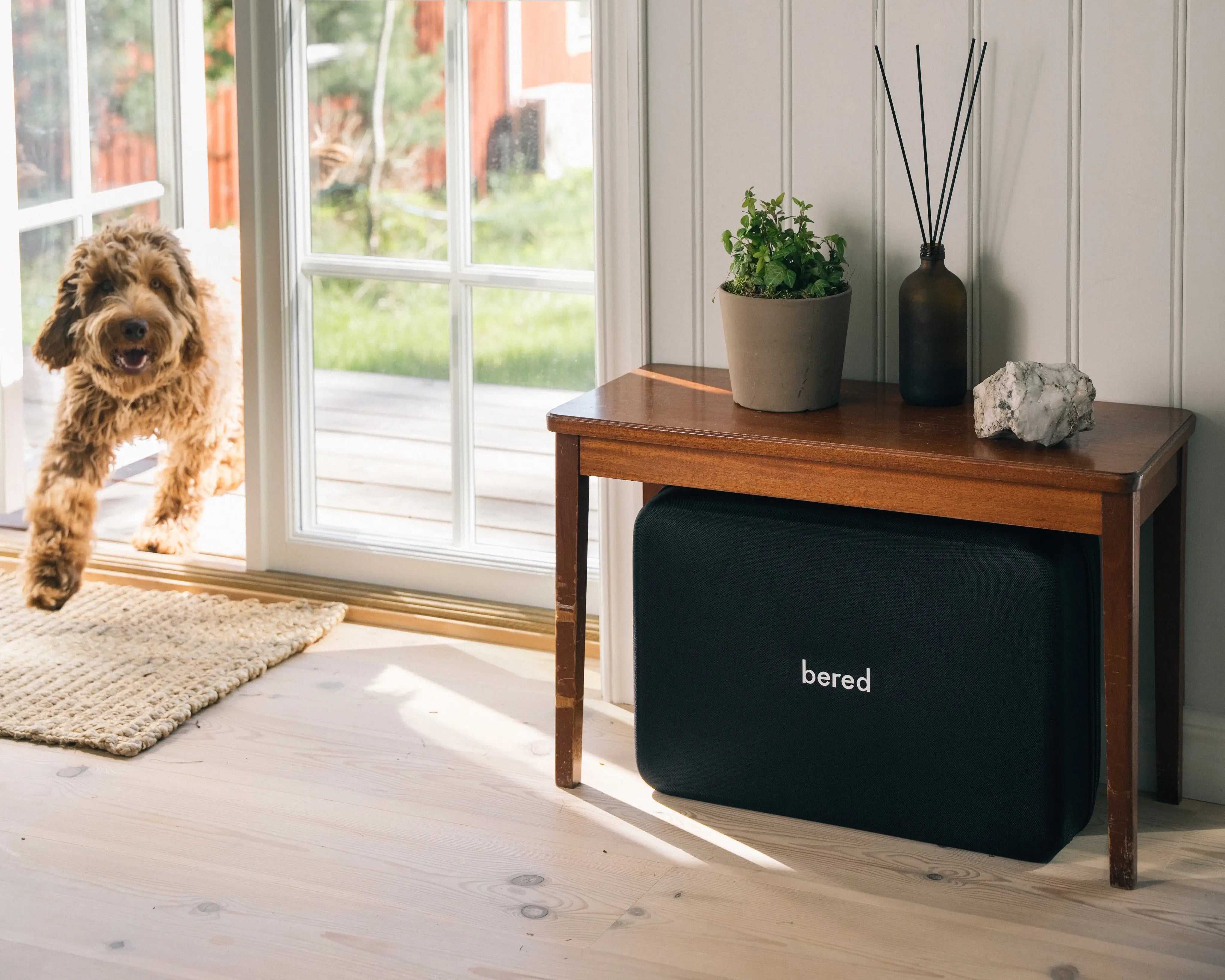  En glad brun hund tittar in genom en dörr intill ett sidobord med en svart beredskapslåda under.