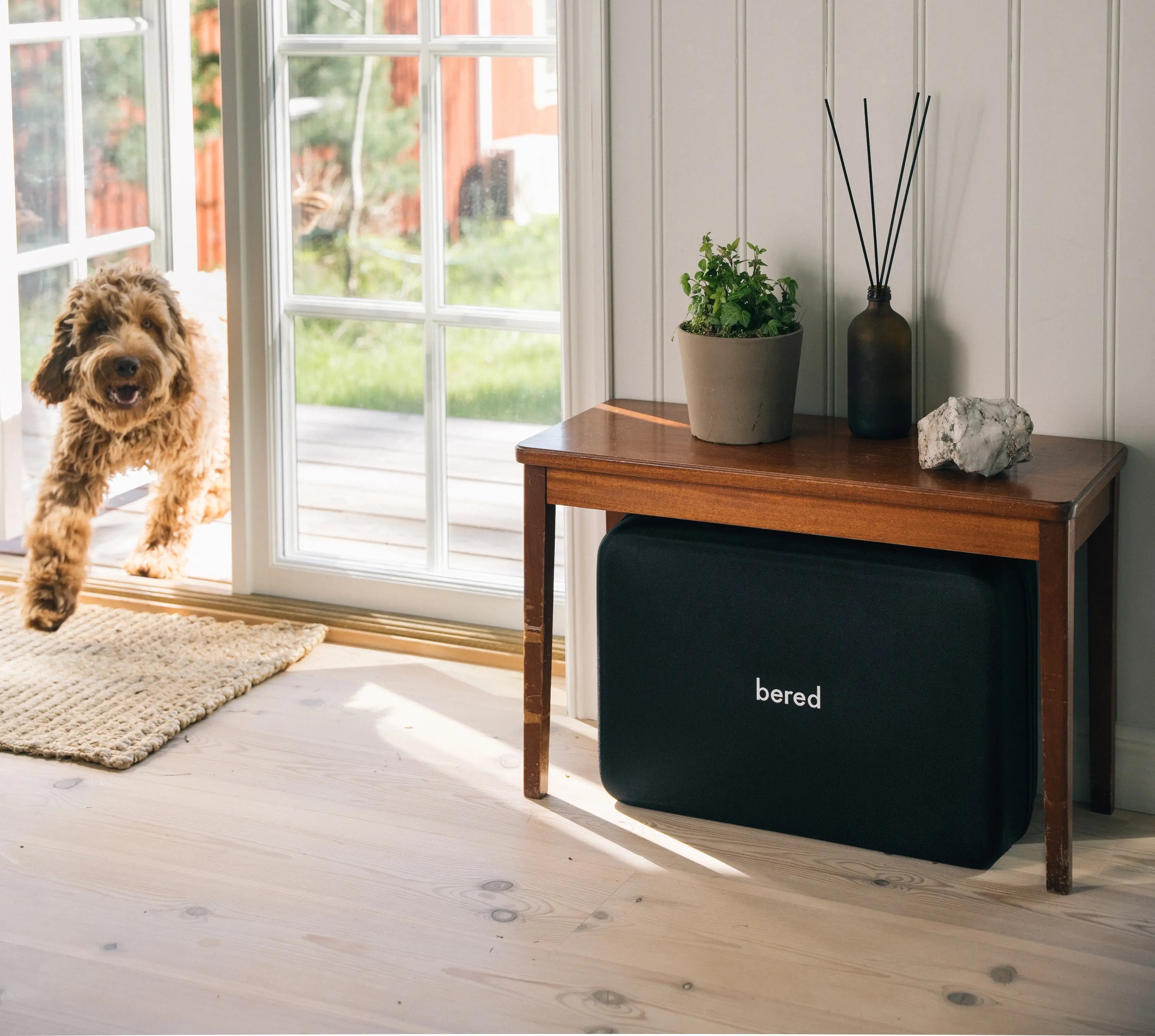  En glad brun hund tittar in genom en dörr intill ett sidobord med en svart beredskapslåda under.