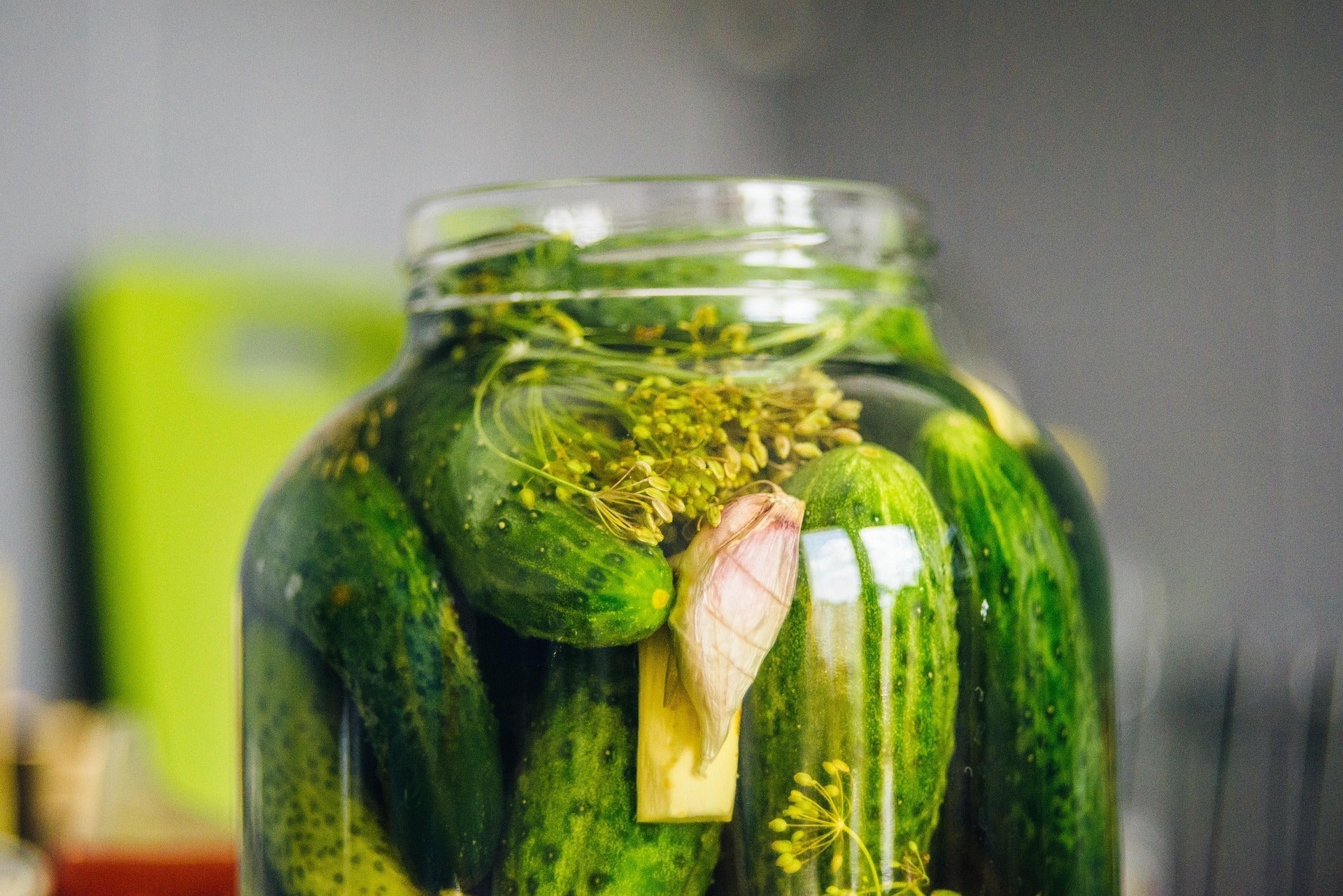 Fermentering för nybörjare