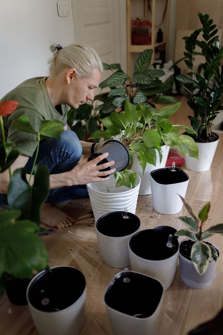 Prepping och odling: 10 grönsaker att odla inomhus