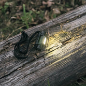 LED pannlampa med uppladdningsbart 2000 mAH batteri